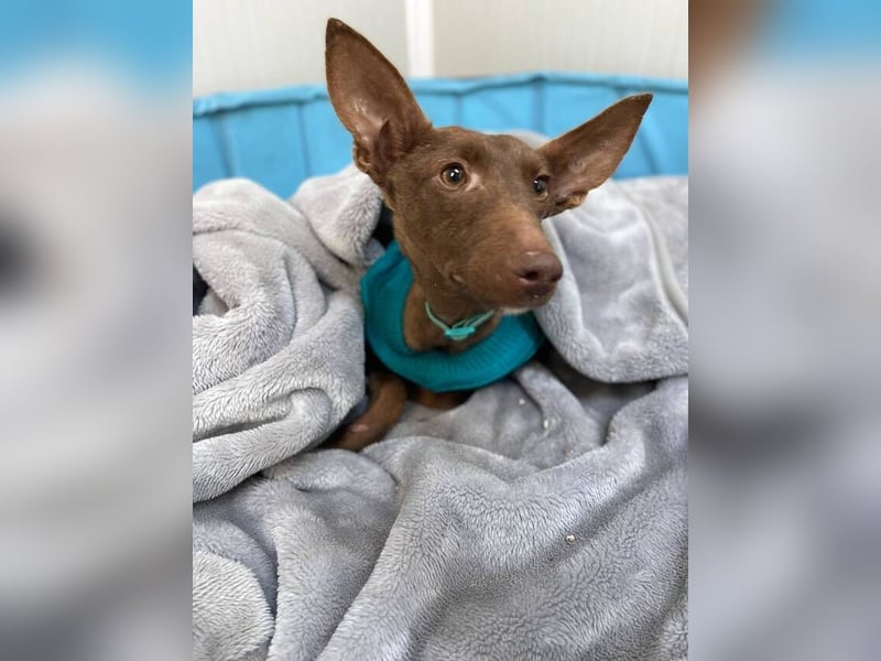 Moana (Spanien) - bedeutet Meer, weites Wasser, Brise über dem Ozean