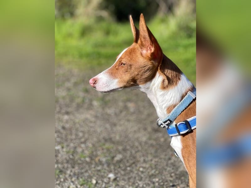 Pepe (Spanien) - kleiner Abenteurer