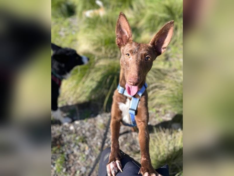 Moana (Spanien) - bedeutet Meer, weites Wasser, Brise über dem Ozean