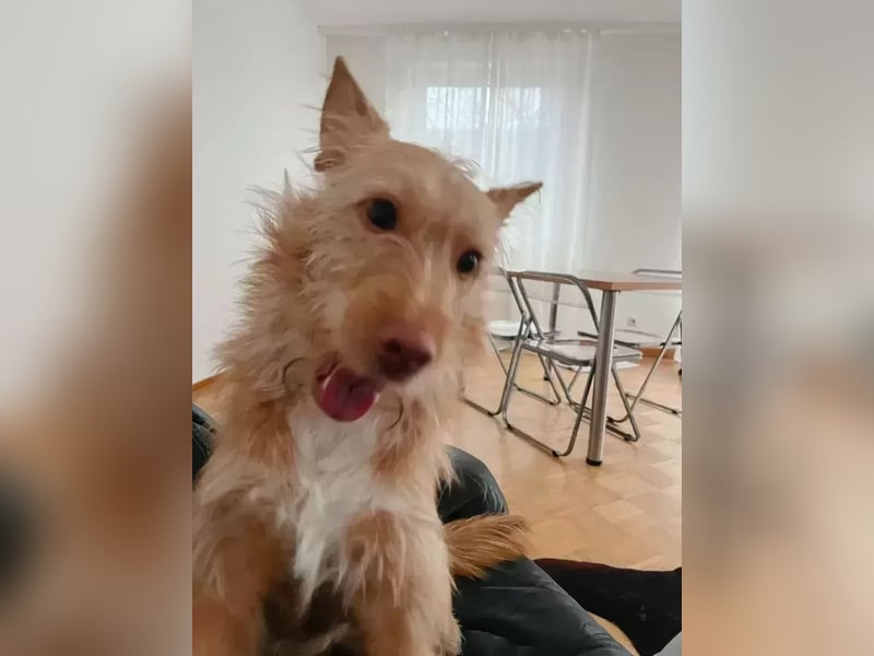 Roger verliert unverschuldet sein Zuhause