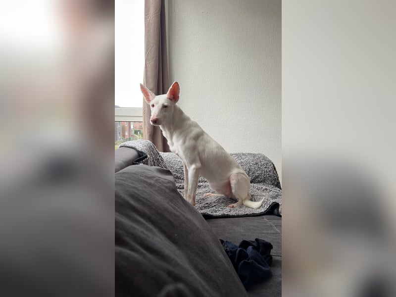 Susona - liebevoll und gemütlich