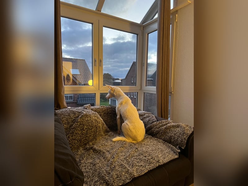 Susona - liebevoll und gemütlich