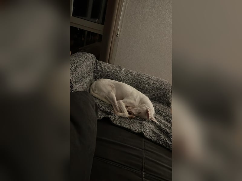 Susona - liebevoll und gemütlich