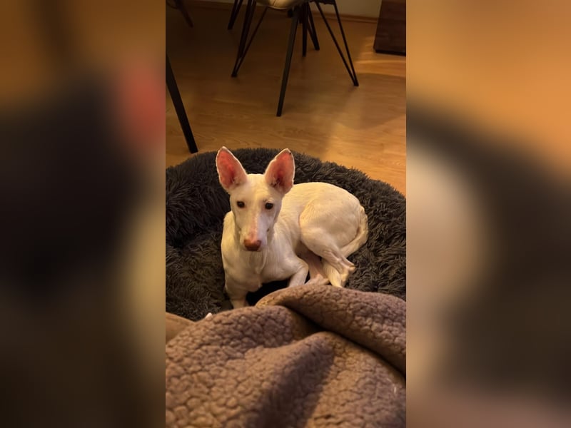 Susona - liebevoll und gemütlich