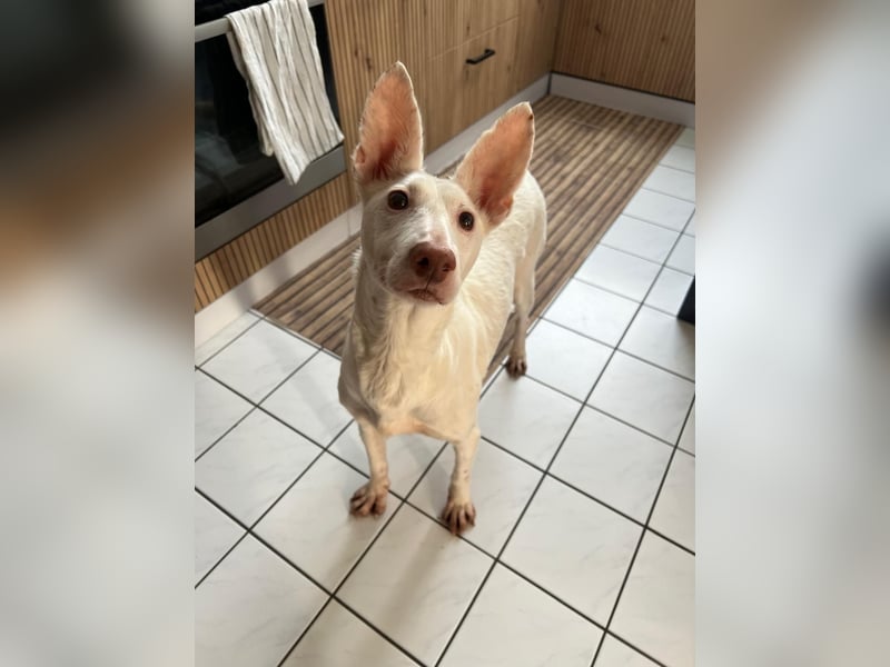 Susona - liebevoll und gemütlich