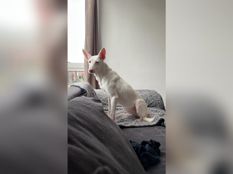 Susona - liebevoll und gemütlich