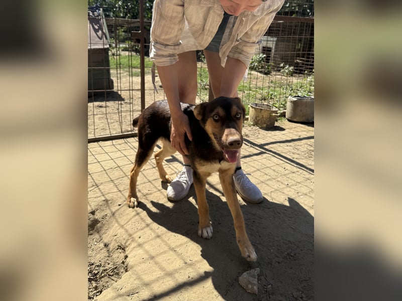 Karesz sucht seinen Couchplatz