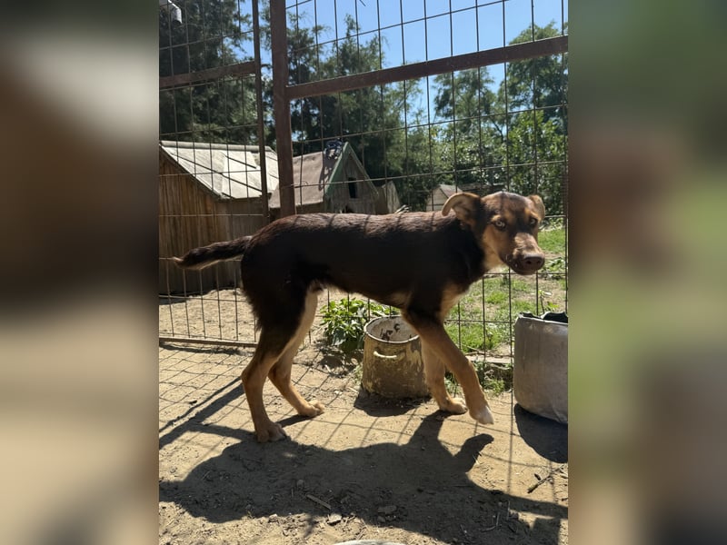 Karesz sucht seinen Couchplatz