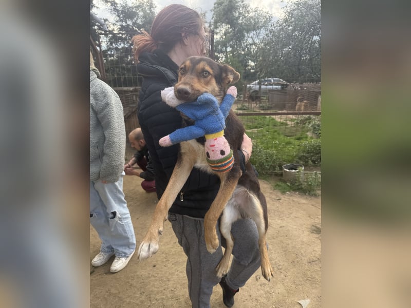 Karesz sucht seinen Couchplatz