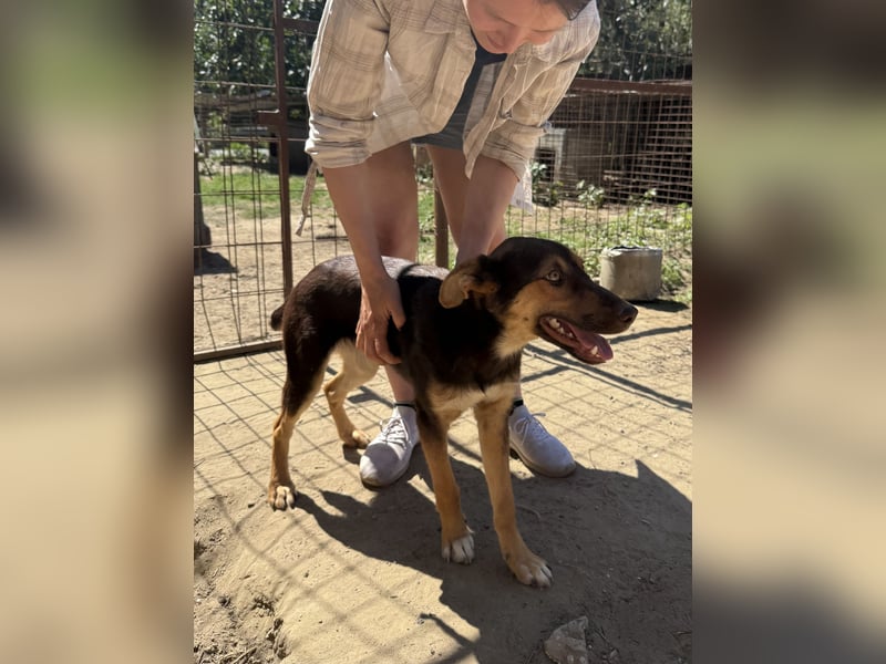 Schöner Karesz sucht Dich