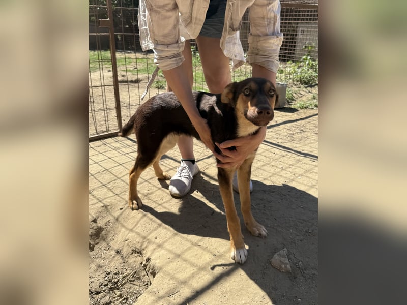 Karesz sucht seinen Couchplatz