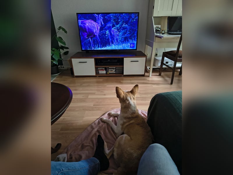 Zoe wartet in Köln auf ihre Menschen