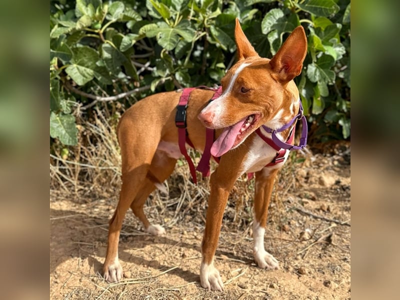 Framzy – muss Liebe lernen