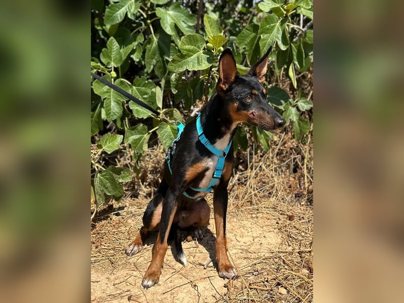 Doby