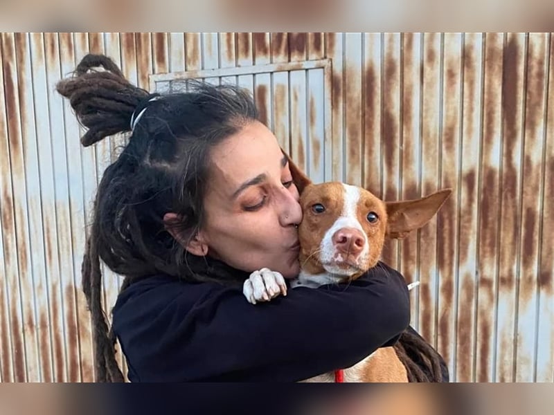 Framzy – muss Liebe lernen