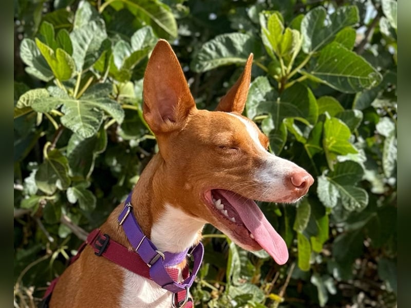 Framzy – muss Liebe lernen