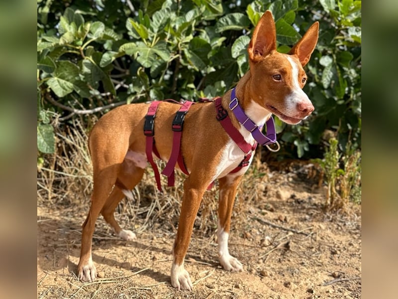 Framzy – muss Liebe lernen