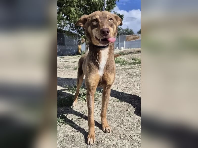 Byron, ein verschmuster sozialer Schatz