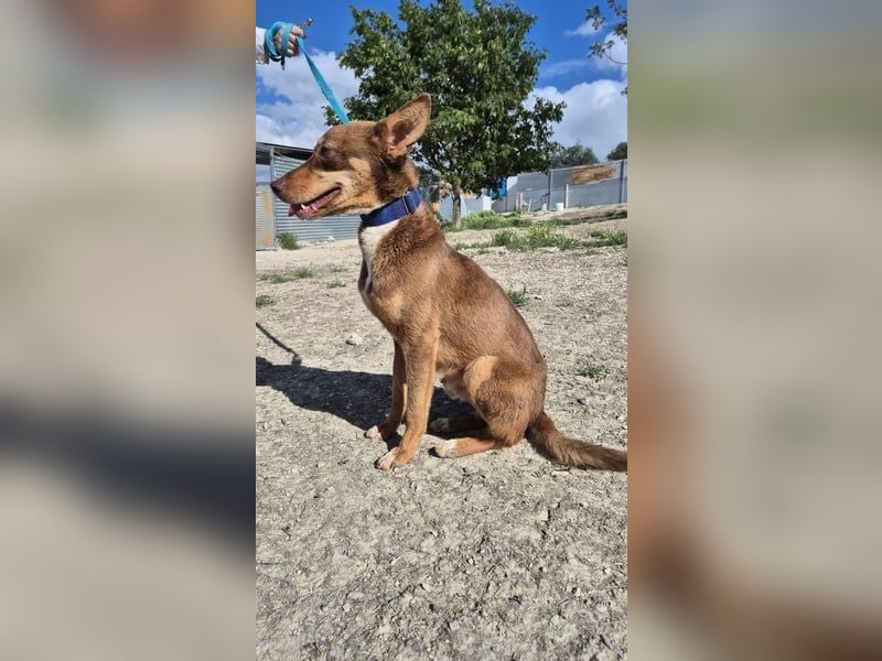 Byron, menschenbezogen und sehr sozial