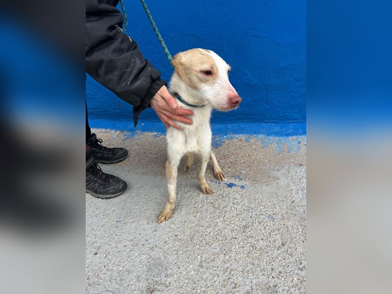 Atreu, freundlich und sehr sozial