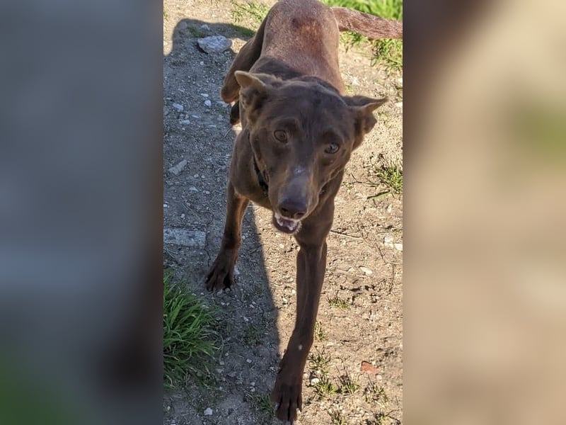 Esperanza, hat so sehr eine Chance verdient