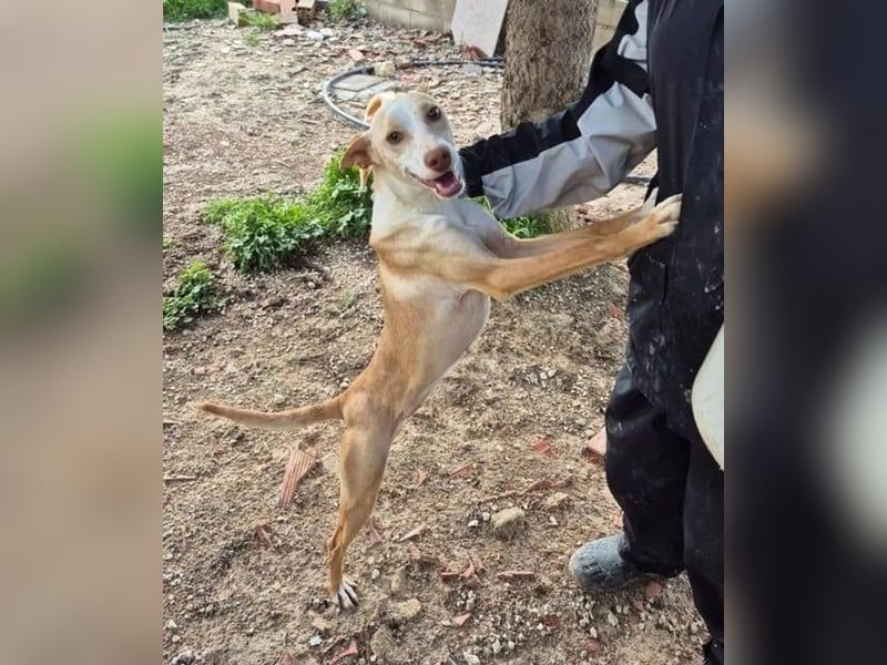 Tina, sie sucht ihre Herzensmenschen