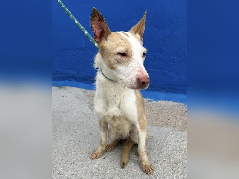 Atreu, freundlich und sehr sozial