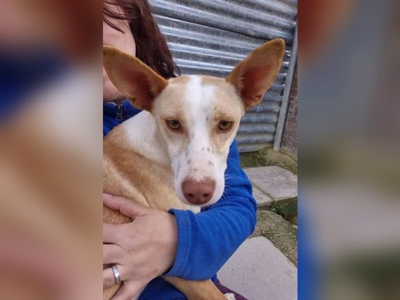 Tina, sie sucht ihre Herzensmenschen