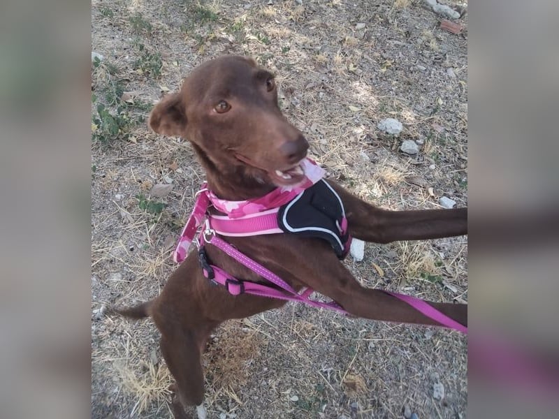 Esperanza, hat so sehr eine Chance verdient