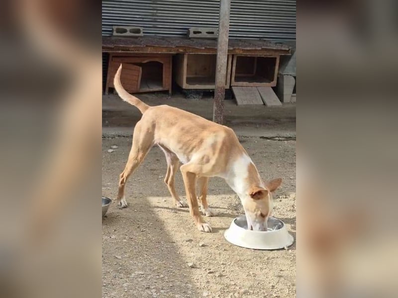 Tina, sie sucht ihre Herzensmenschen