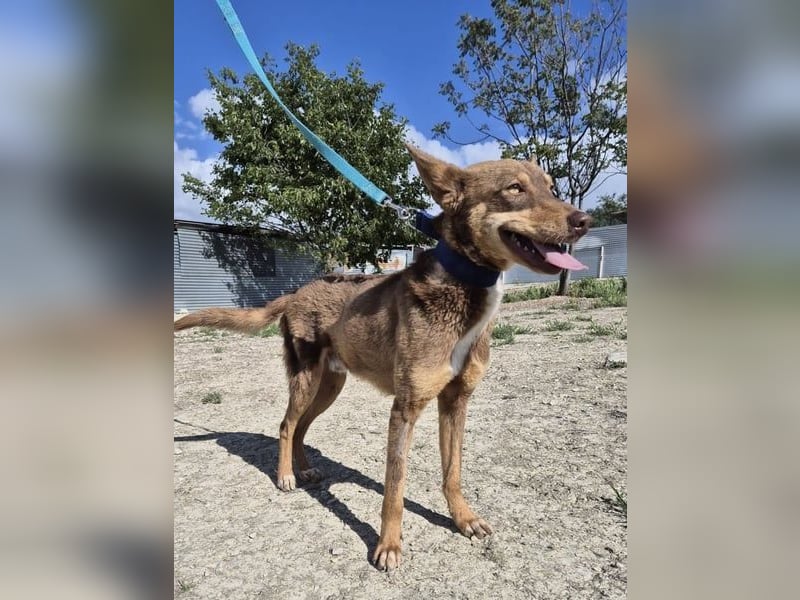 Byron, menschenbezogen und sehr sozial