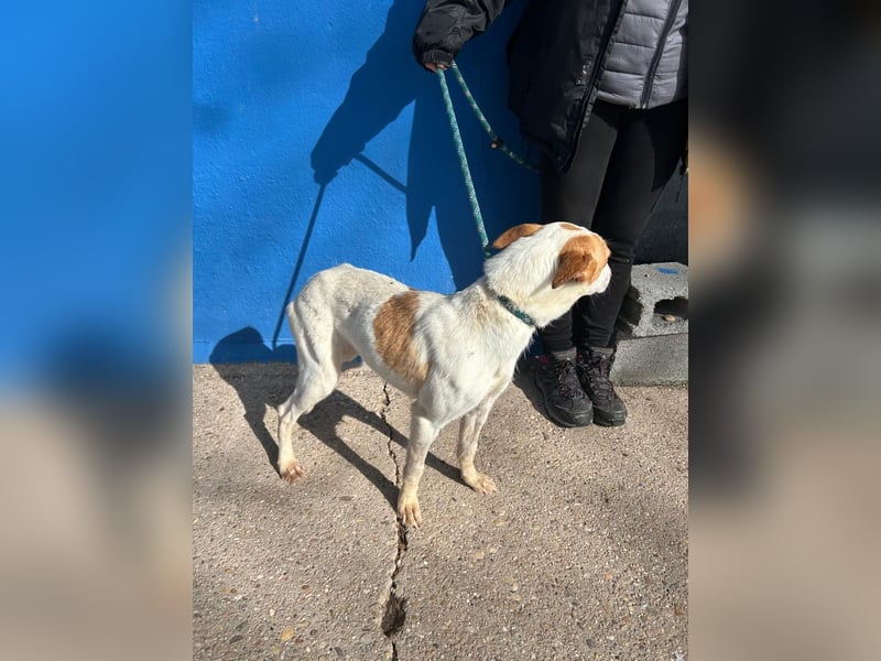 Rayos, hofft auf seine Chance