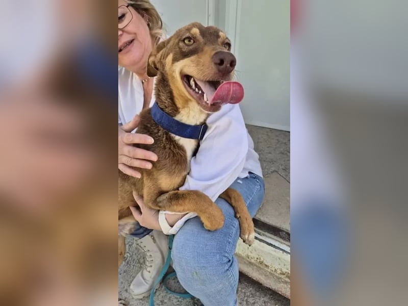 Byron, ein verschmuster sozialer Schatz