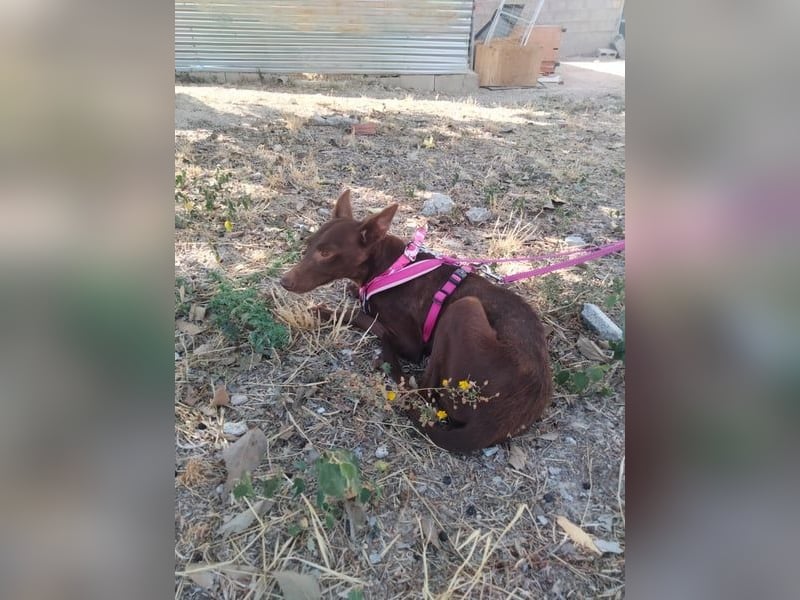 Esperanza, hat so sehr eine Chance verdient