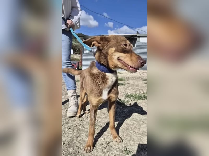 Byron, ein verschmuster sozialer Schatz