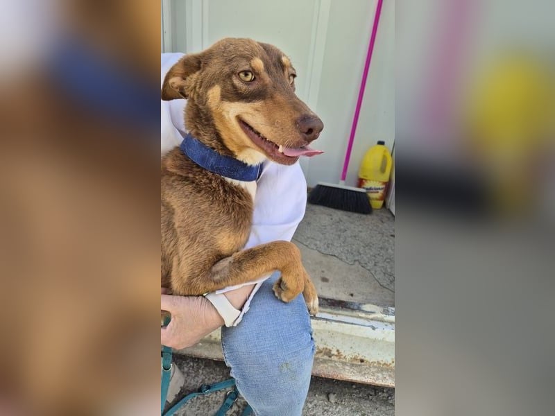 Byron, menschenbezogen und sehr sozial