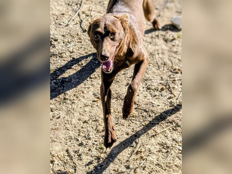 Esperanza, hat so sehr eine Chance verdient