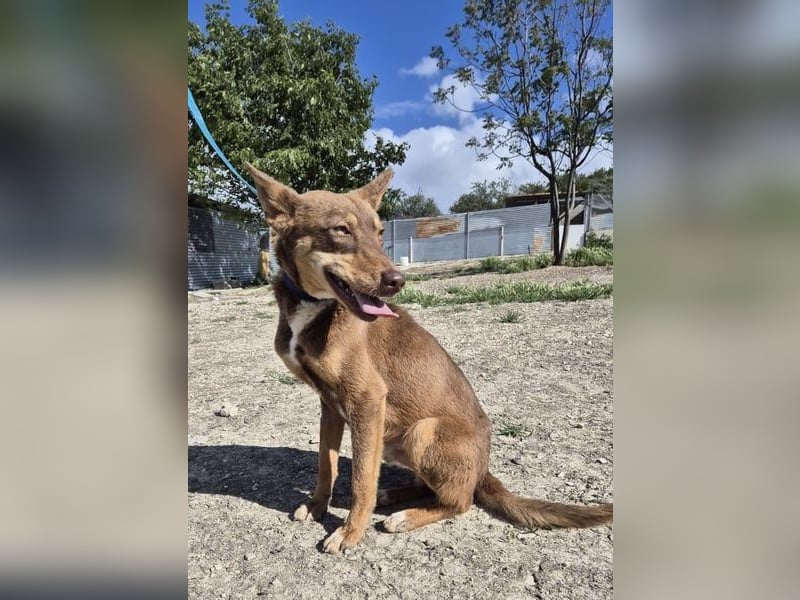 Byron, menschenbezogen und sehr sozial