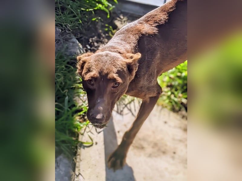 Esperanza, hat so sehr eine Chance verdient