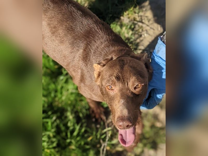 Esperanza, hat so sehr eine Chance verdient