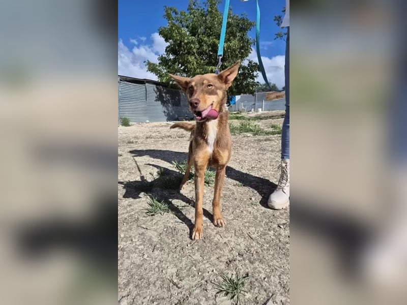 Byron, ein verschmuster sozialer Schatz