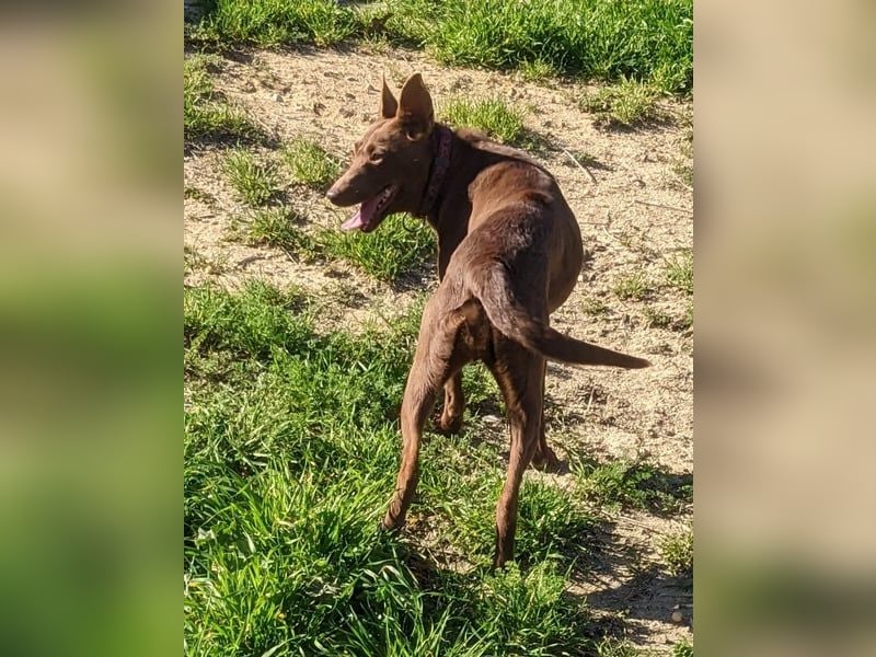 Esperanza, hat so sehr eine Chance verdient