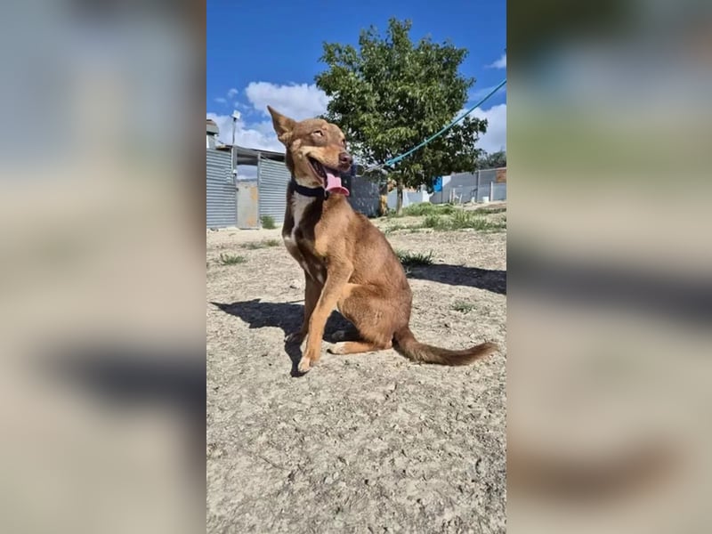 Byron, ein verschmuster sozialer Schatz