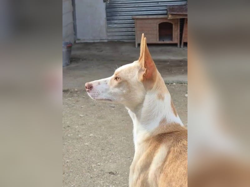 Tina, sie sucht ihre Herzensmenschen