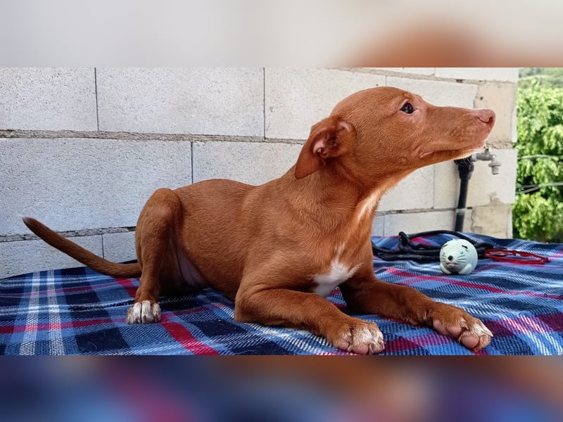 Okal - kleine Entdeckerin auf dem Weg ins Glück