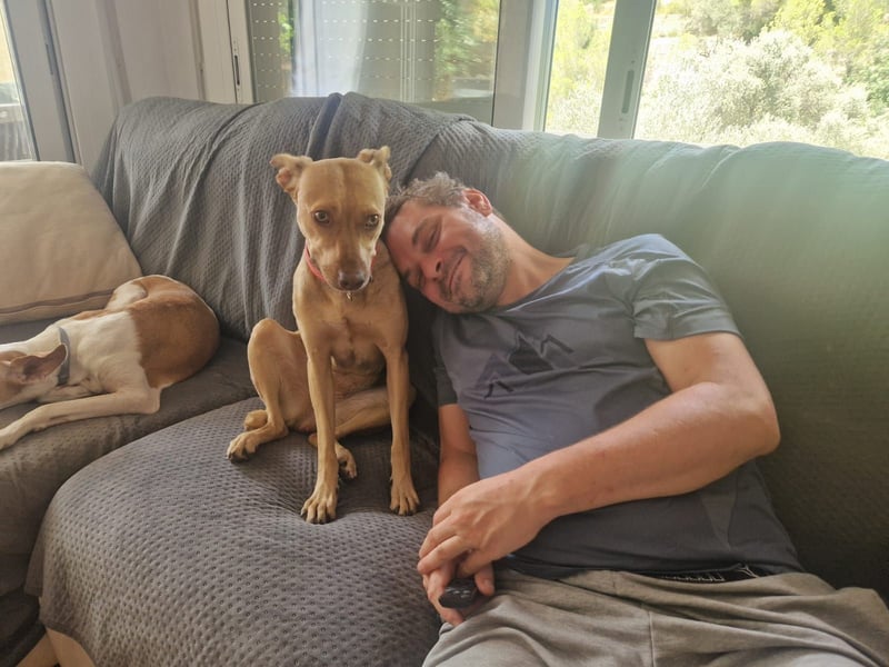 Sharie - such ein neues zu Hause, gerne mit Hundekumpel Sharie - such ein neues zu Hause, gerne mit Hundekumpel