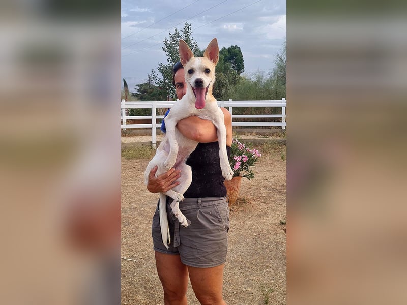 Asana – pure Lebensfreude auf vier Pfoten