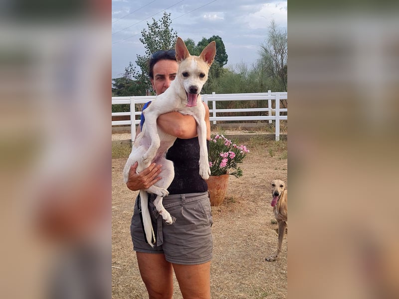 Asana – pure Lebensfreude auf vier Pfoten