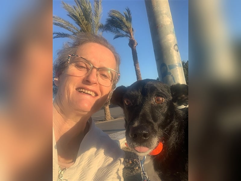 Kiko, Podenco-Mix-Junge sucht Sofa