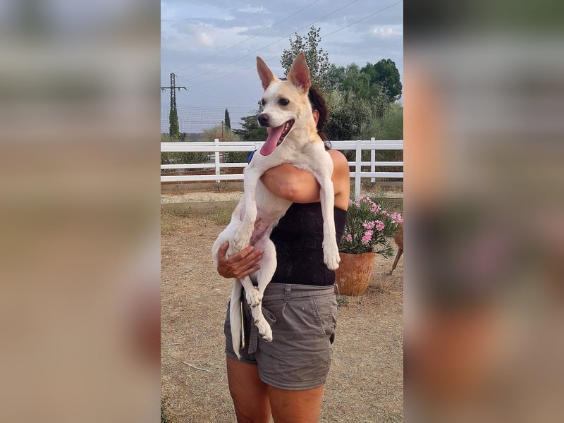 Asana – pure Lebensfreude auf vier Pfoten